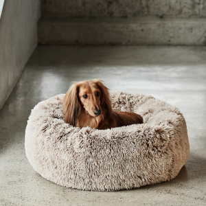 What is the UK’s interior and discount for a donut dog bed?